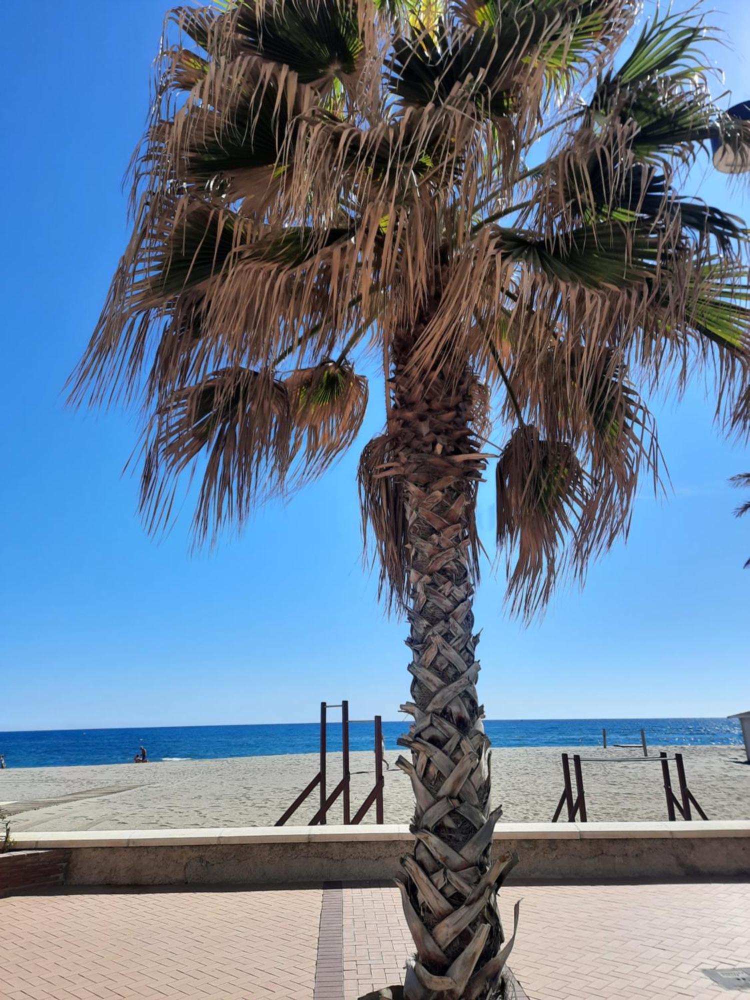 Fuengirola Apartment Carvajal Front Line Primera Linea Exteriér fotografie